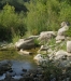Ambiente del fiume Timeto: scorcio 3