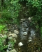 Ambiente del fiume Timeto: scorcio 4