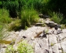 Ambiente del fiume Timeto: scorcio 9