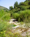 Ambiente del fiume Timeto: scorcio 10
