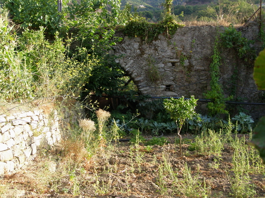 Resti di un vecchio mulino 2