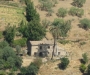 Dimora rurale 3