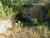 Resti di un vecchio mulino 2