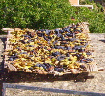Fichi secchi 1