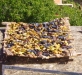 Fichi secchi 1