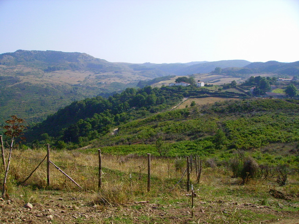 Panorama in quota 10