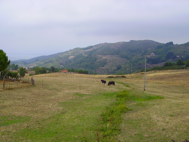 Panorama in quota 11