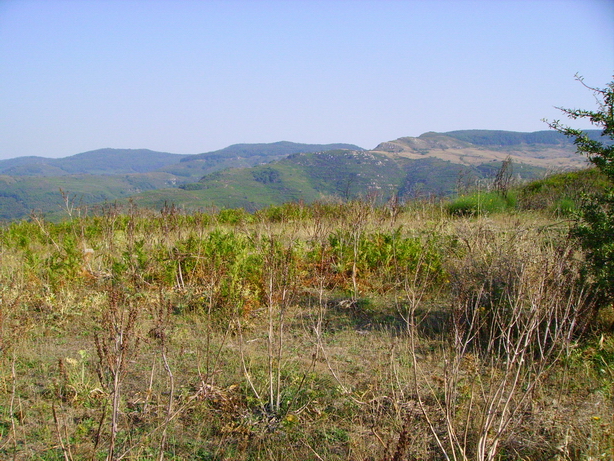 Panorama in quota 14