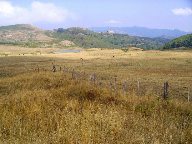 Panorama in quota 15