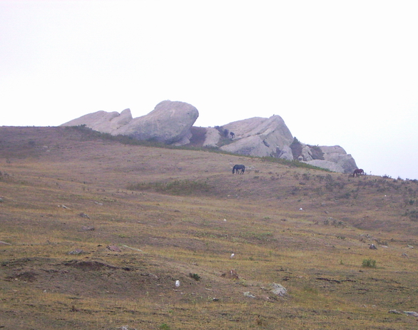 Panorama in quota 16