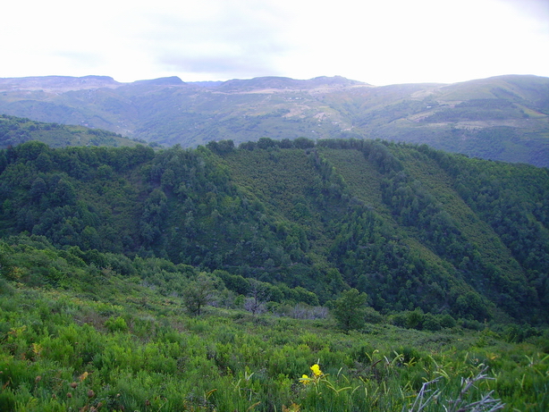 Panorama in quota 19
