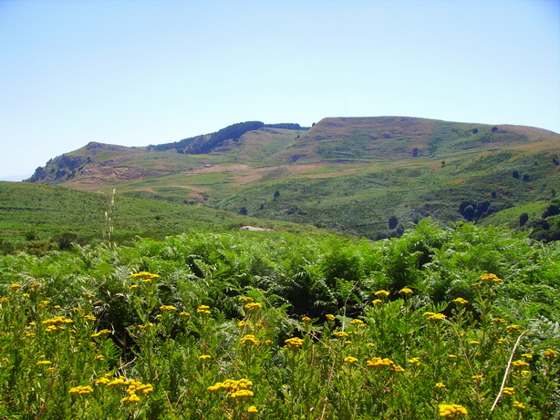 Panorama in quota 2