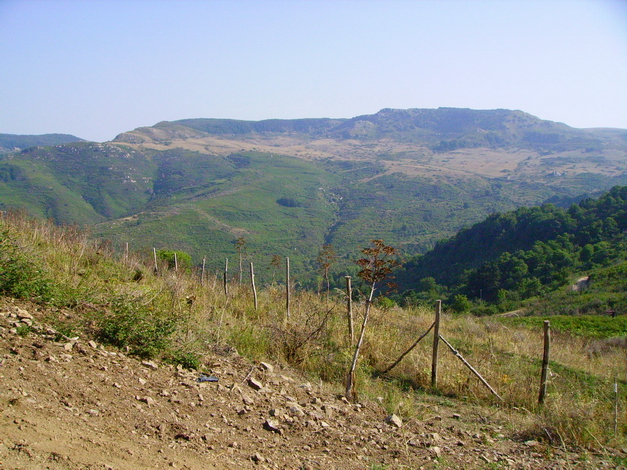 Panorama in quota 20