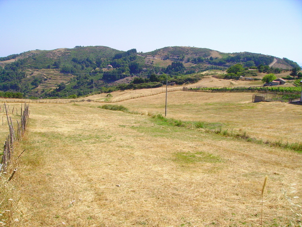 Panorama in quota 22