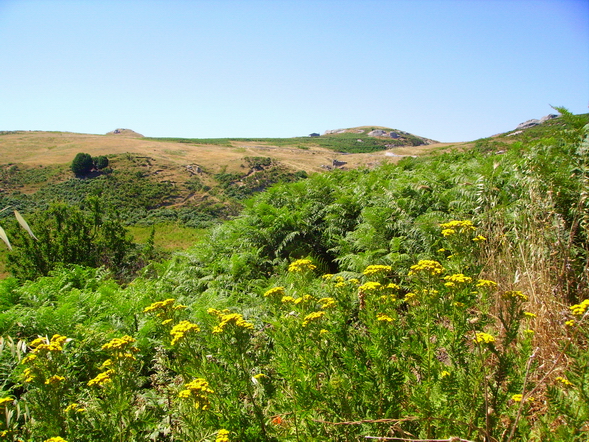 Panorama in quota 4