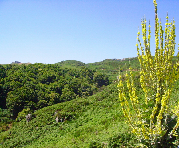 Panorama in quota 5