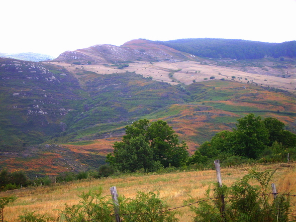 Panorama in quota 8