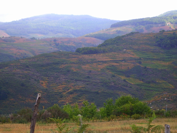 Panorama in quota 9