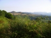 Panorama in quota 1