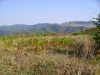 Panorama in quota 14