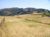 Panorama in quota 22