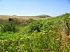 Panorama in quota 4