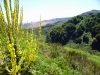 Panorama in quota 7