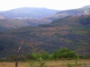 Panorama in quota 9