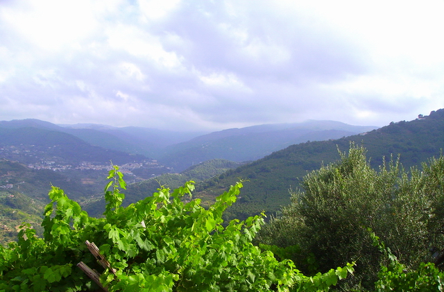 Panorama verso San Piero Patti