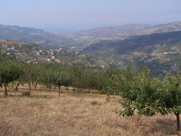 Panorama della valle del Timeto 17