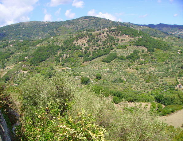 Panorama della valle del Timeto 20