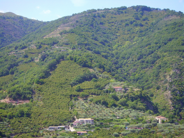 Panorama della valle del Timeto 21