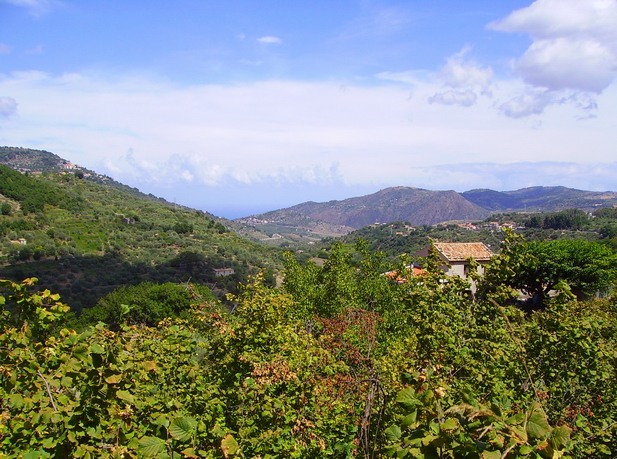 Panorama della valle del Timeto 23