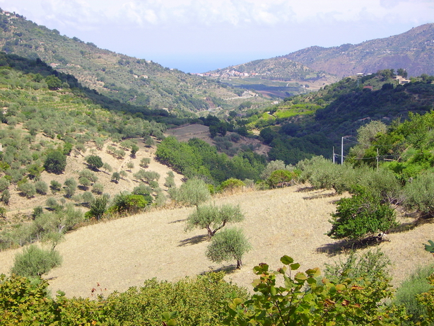 Panorama della valle del Timeto 24