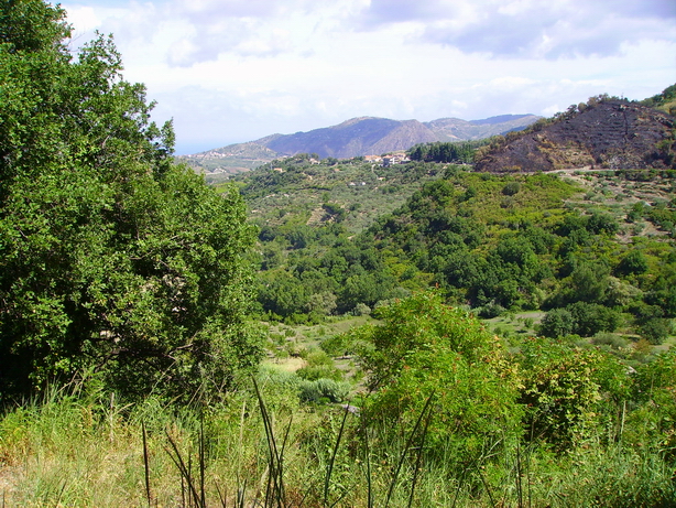Panorama della valle del Timeto 26