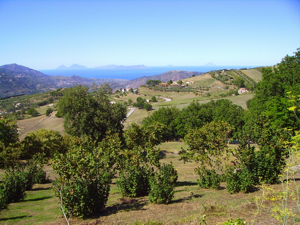Panorama della valle del Timeto 30