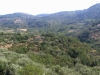 Panorama della valle del Timeto 10