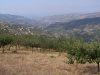 Panorama della valle del Timeto 17