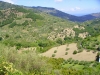 Panorama della valle del Timeto 19
