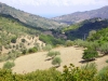 Panorama della valle del Timeto 24