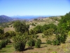 Panorama della valle del Timeto 30
