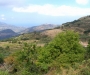 Panorama della valle del Timeto 35
