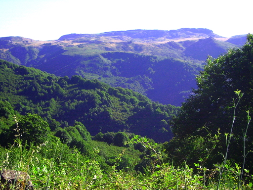 Alta valle del Timeto: panorama 1