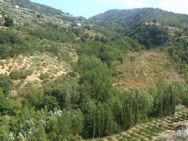 Alta valle del Timeto: panorama 13