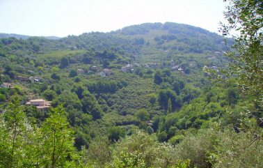 Alta valle del Timeto: panorama 19