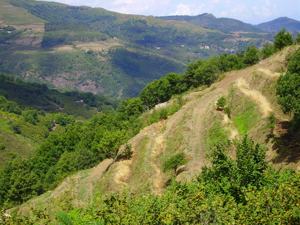 Alta valle del Timeto: panorama 20