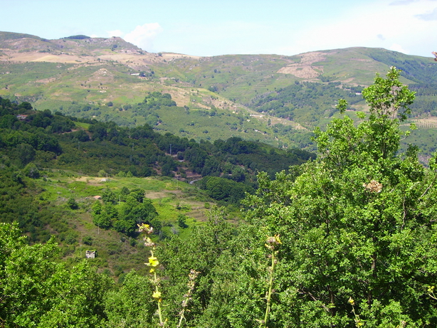Alta valle del Timeto: panorama 22