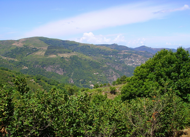 Alta valle del Timeto: panorama 24