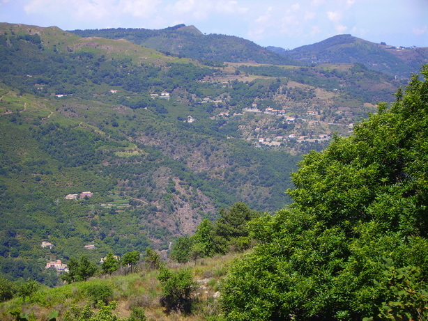 Alta valle del Timeto: panorama 25