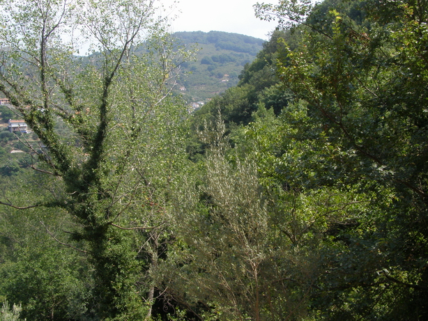 Alta valle del Timeto: panorama 35